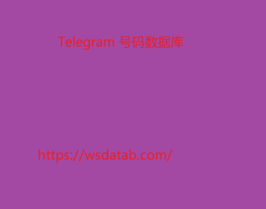 Telegram 号码数据库