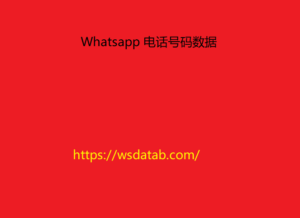 Whatsapp 电话号码数据