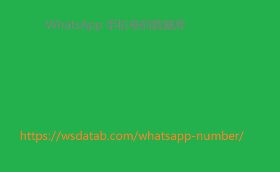 WhatsApp 手机号码数据库