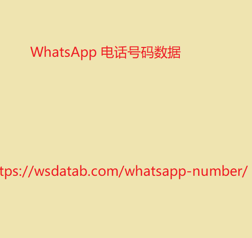 WhatsApp 电话号码数据