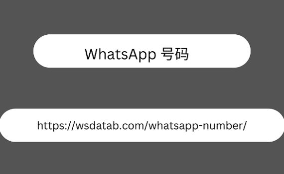 WhatsApp 号码